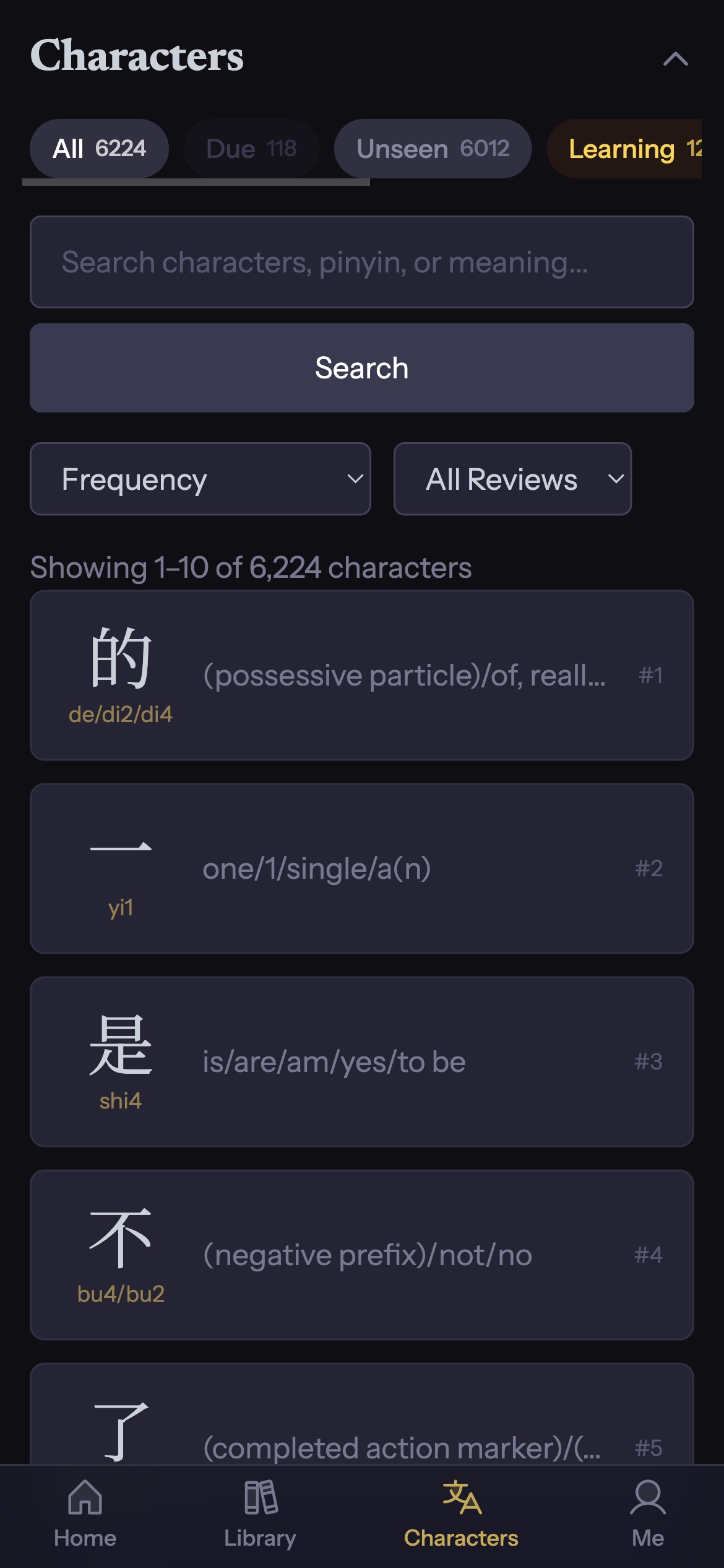 Character dictionary and mastery tracking